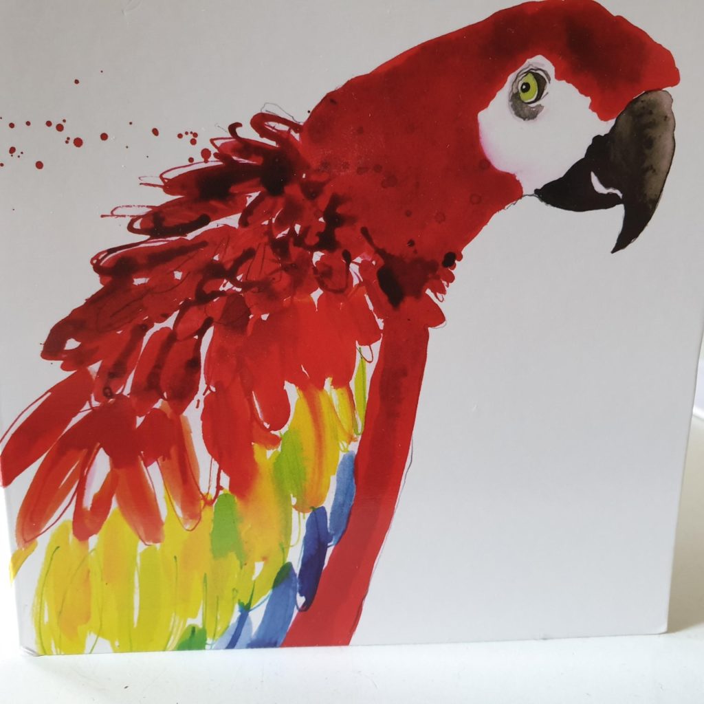 Scarlet Macaw painting by Ewold