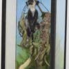 Black & white colobus monkey