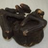 Mummified horse foal