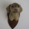 Weimaraner