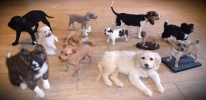 Dogs and Puppies