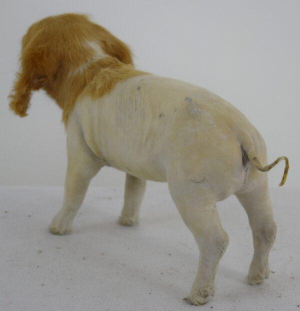 Taxidermy Freak - Image 4