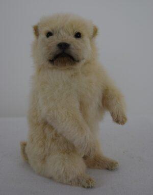 Taxidermy Puppy Golden Retriever