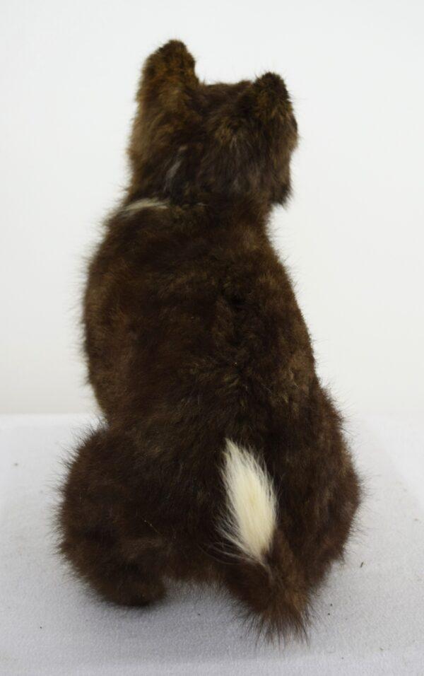 Taxidermy Puppy Malamut - Image 4