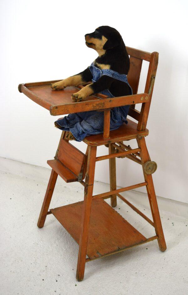 Taxidermy Puppy Rottweiler - Image 9
